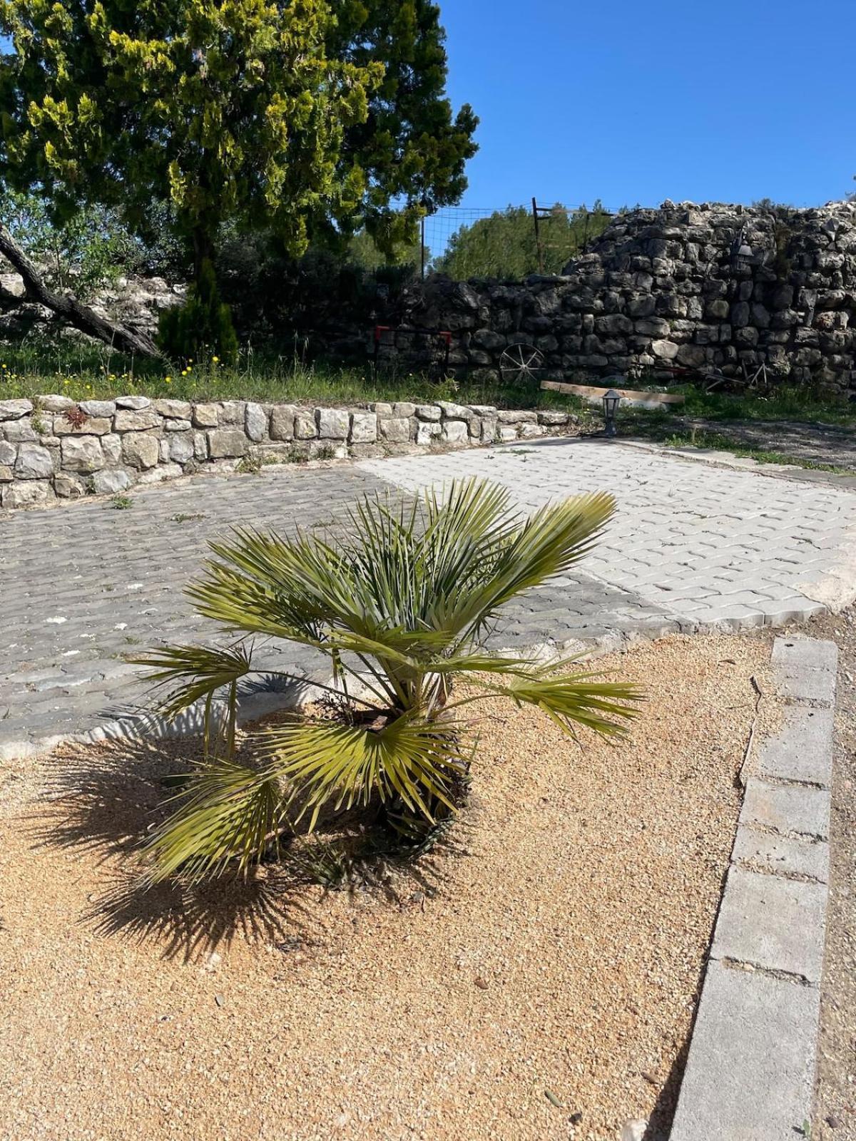 Le Castellas - Gite En Pleine Nature Montmirat Exterior foto