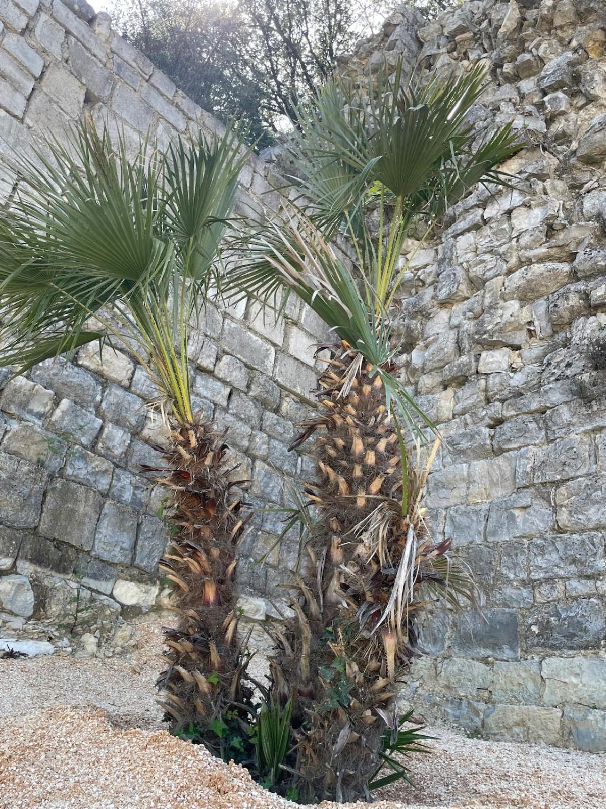 Le Castellas - Gite En Pleine Nature Montmirat Exterior foto